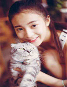家族2004